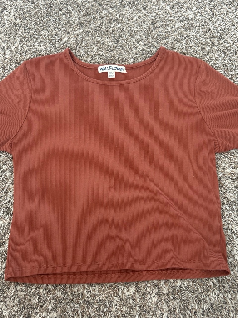 burnt orange Ribbed Short Sleeve Top